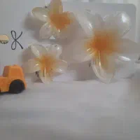 اکسسوری مروه