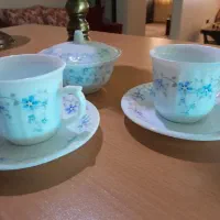 فنجون آرکوپال