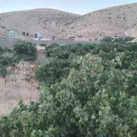 680متر زمین