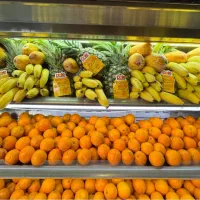 صندوقدار شیفت شب ابمیوه بستنی
