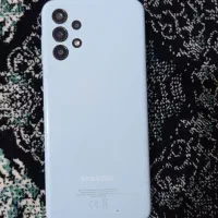 a13