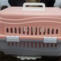 باکس گربه