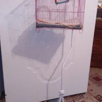 قفس پرنده