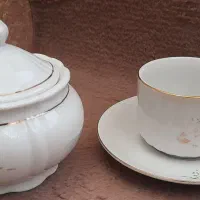 فنجان نعلبکی چینی زرین