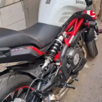 بنلی ۳۰۰ عروسک  هممه چیز بشطر