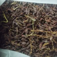 آبغوره ترش و ملس - شربت آلبالو