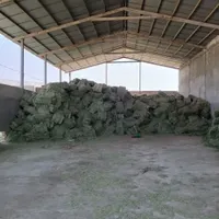 پرس یونجه وخرد شده یونجه