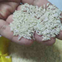 برنج عنبر بوی اصل خوزستان