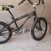 دوچرخهDunina حرفه ای