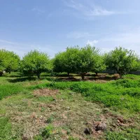 باغچه کنتور،آب و برق ،پروانه مسکونی،گاز
