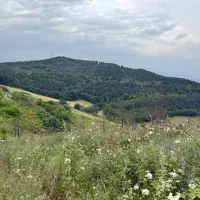 زمین داخل بافت (رامیان- روستای توریستی پاقلعه)