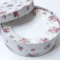 ست پذیرایی چینی