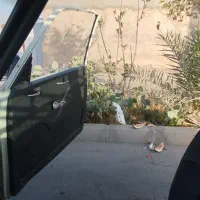 پیکان وانت ۸۱