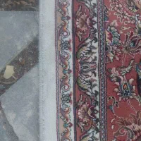 قالی
