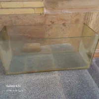اکواریوم