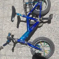 دوچرخه ۱۲