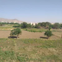 زمین مسکونی تک برگ سند