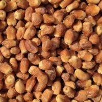 ۴۰۰کیلو قصب درجه یک دشتستان