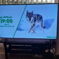 تلویزیون مارشال ۵۵