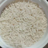 برنج هاشمی الک کارخانه