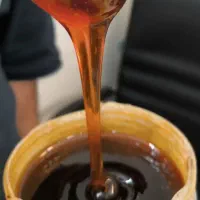 شیره انگور ۲۰ کیلویی