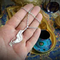 زنجیر و پلاک گردنی استیل طرح یا عباس ع