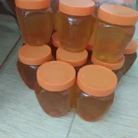 عسل کوهستانی از کندو