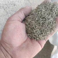 خرید زیره وپسته