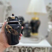 جینجر و اباژور شاهانه پرطلا