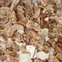 نون خشک خریداریم جلو در نقد باگوشی میزنم ساوه