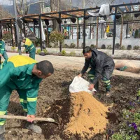 کارگر فضای سبز