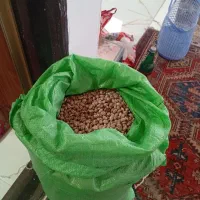 لوبیا
