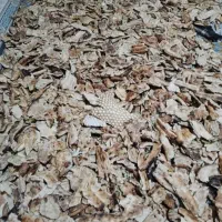 خرید و فروش انواع نهاده های دامی با بهترین کیفیت