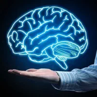 فر وش فوری فر جوجه گردان کم کار شش سیخ سالمپیام