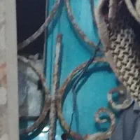 فروش 3کولر ابی