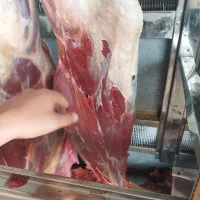 گوشت فیله گوساله مغز  قیمه