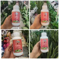 سم آفت کش حشره کش کنفیدور ایمیداکلوپراید کوکوپیت
