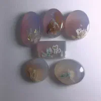 شجر فردوس(بهاره)