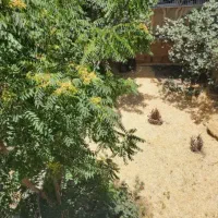 ۳۰۰متری زیر همکف یوسف آباد اداری