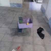قفس پرنده 3 عدد
