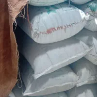 جو برداشت امسال