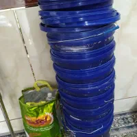 سطل