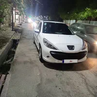 207 پاناروما
