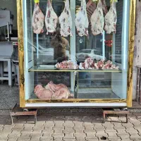 یخچال ویترینی قصابی