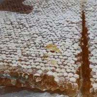 عسل طبیعی تضمینی