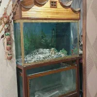 فروش دوعدد آکواریوم حرفه ای