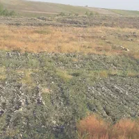 فروش زمین