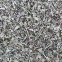 کاکوتی برگ پهن