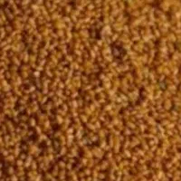 فروش خاک شیر محلی درجه یک