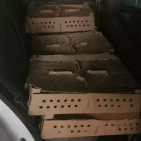 جوجه گوشتی راس ۳۰۸ تضمینی